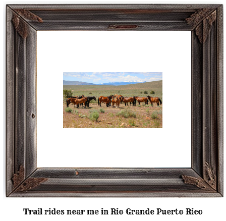 trail rides near me in Rio Grande, Puerto Rico